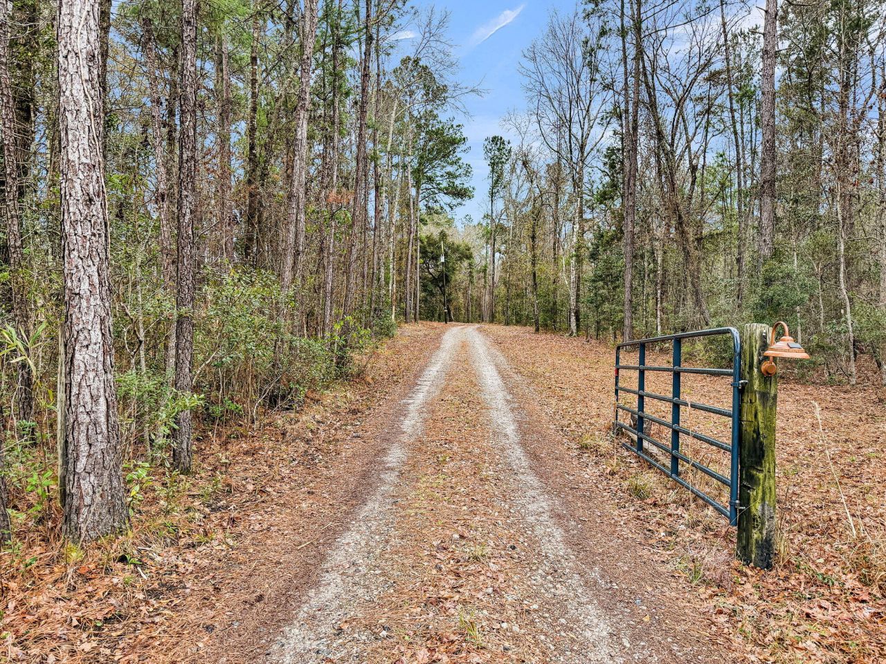 7769 Old Jacksonboro Road Photo 50