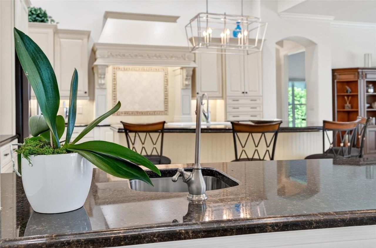 7303 Birds Nest Court, Yalaha, FL 34797 Photo