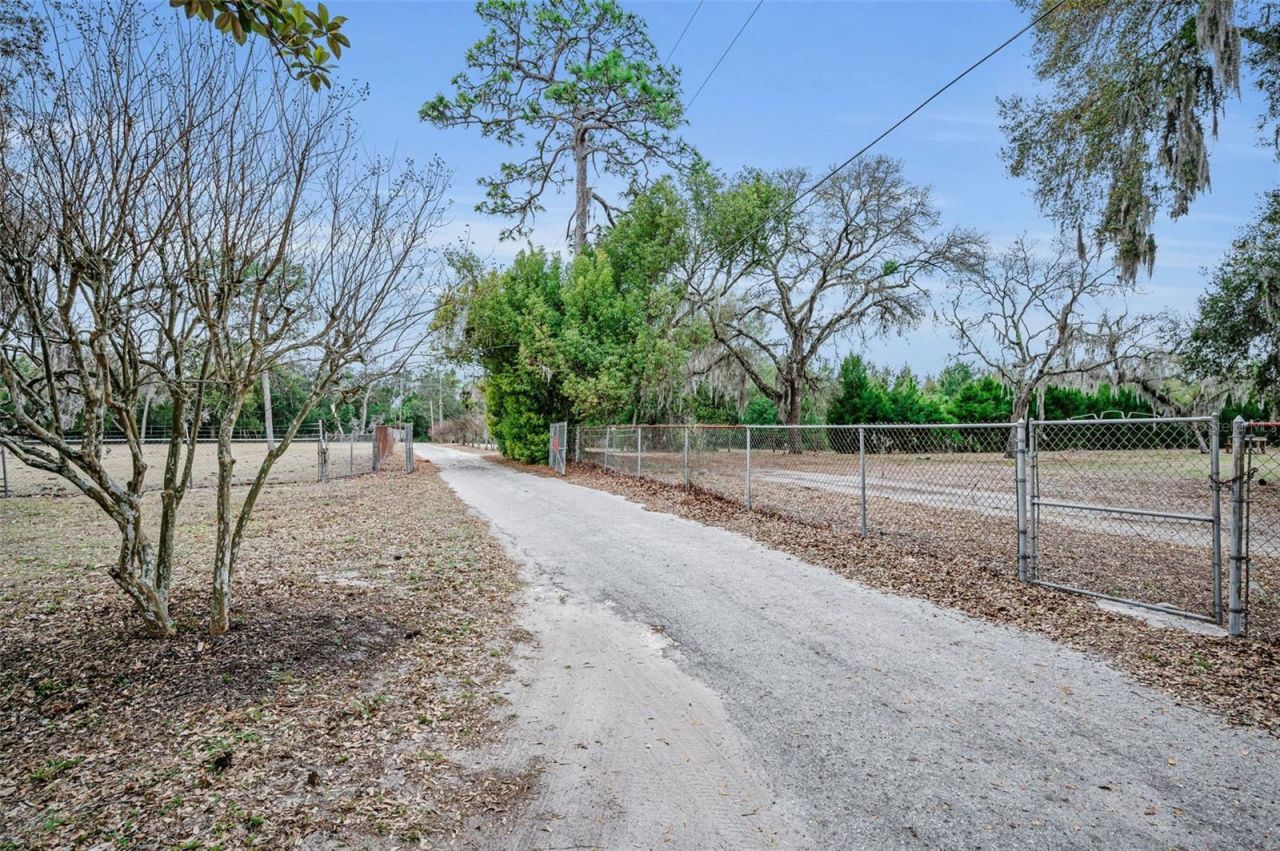 7230 Old Homestead Road, New Port Richey, FL 34654 Photo