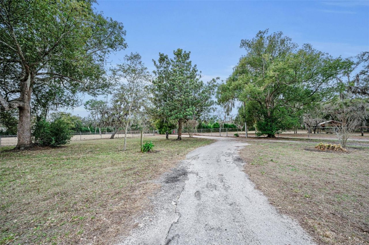 7230 Old Homestead Road, New Port Richey, FL 34654 Photo