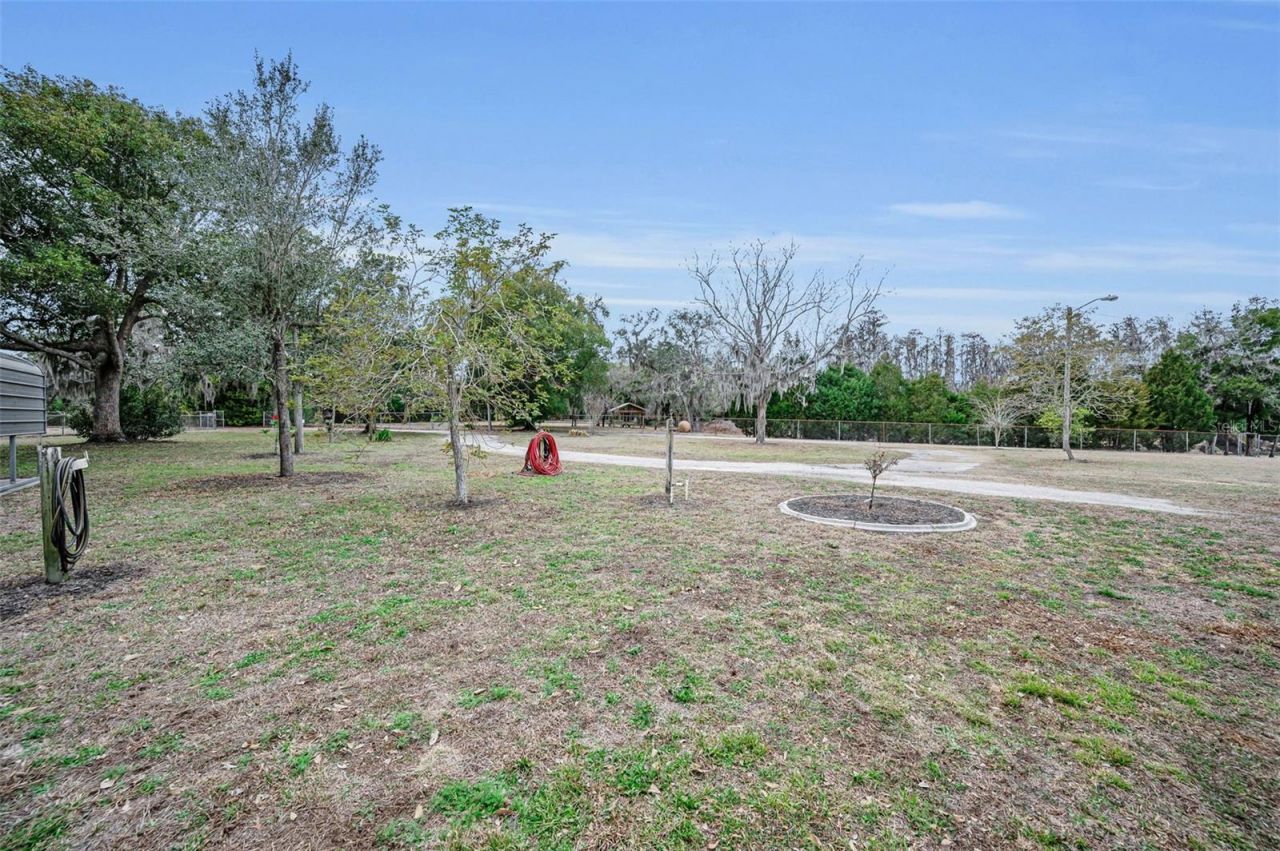 7230 Old Homestead Road, New Port Richey, FL 34654 Photo