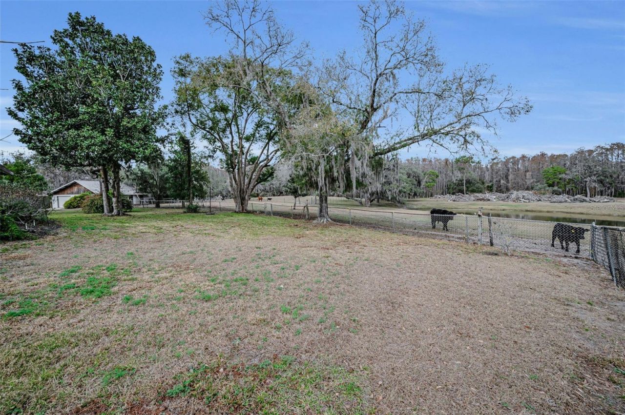 7230 Old Homestead Road, New Port Richey, FL 34654 Photo