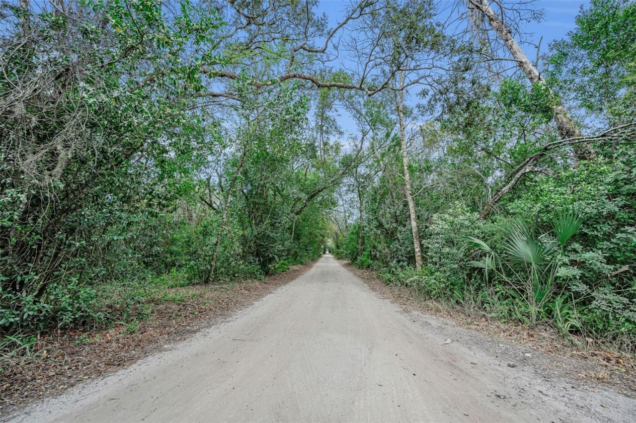 7230 Old Homestead Road, New Port Richey, FL 34654 Photo