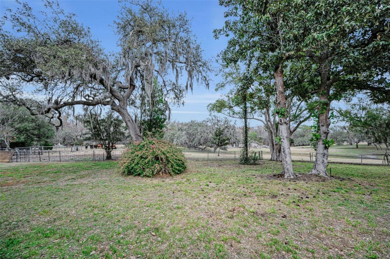 7230 Old Homestead Road, New Port Richey, FL 34654 Photo