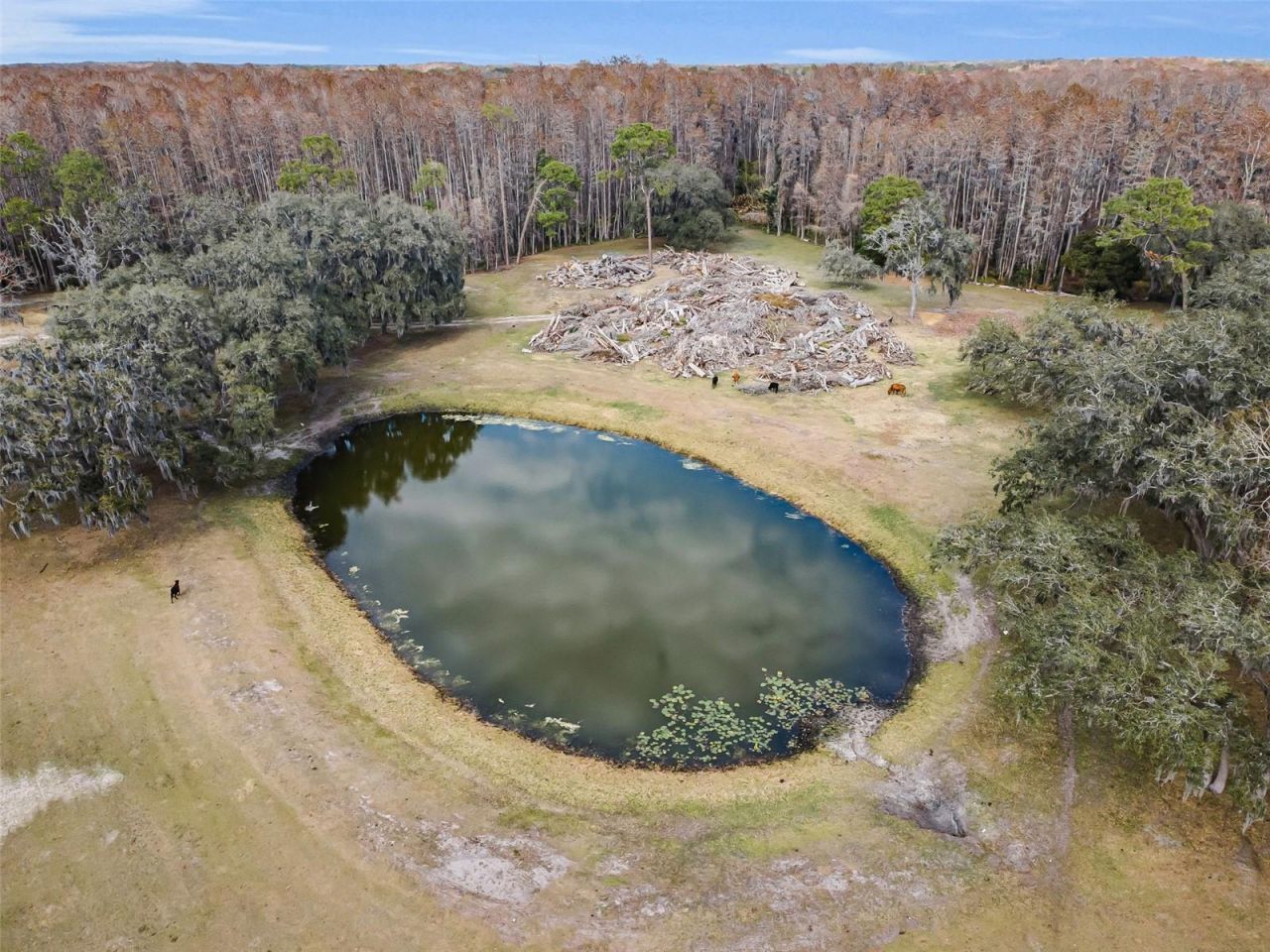 7230 Old Homestead Road, New Port Richey, FL 34654 Photo