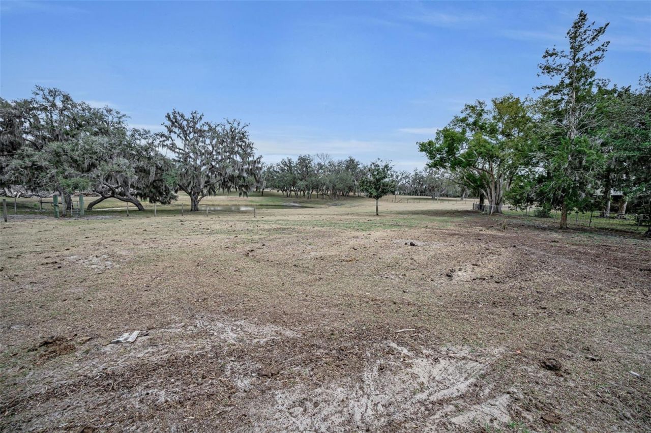 7230 Old Homestead Road, New Port Richey, FL 34654 Photo