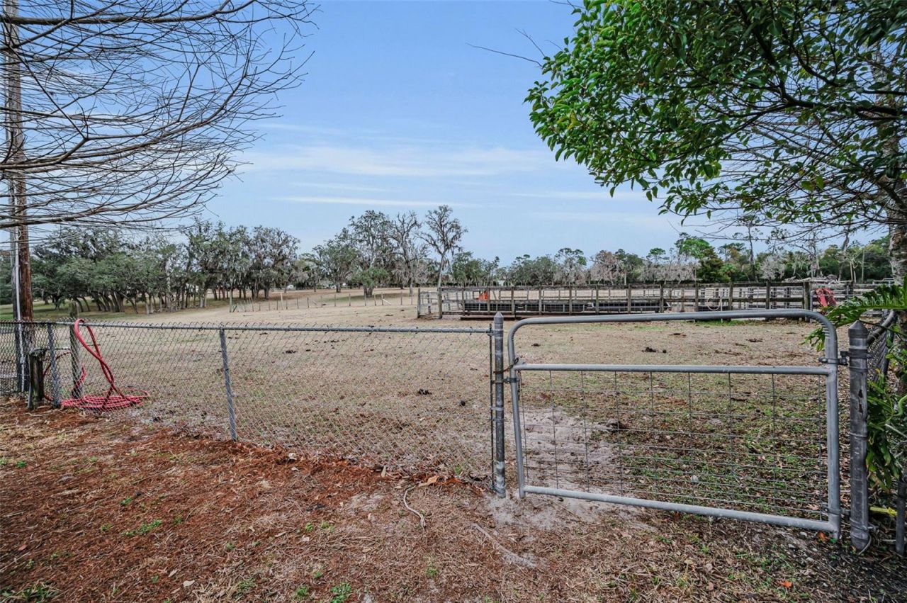 7230 Old Homestead Road, New Port Richey, FL 34654 Photo