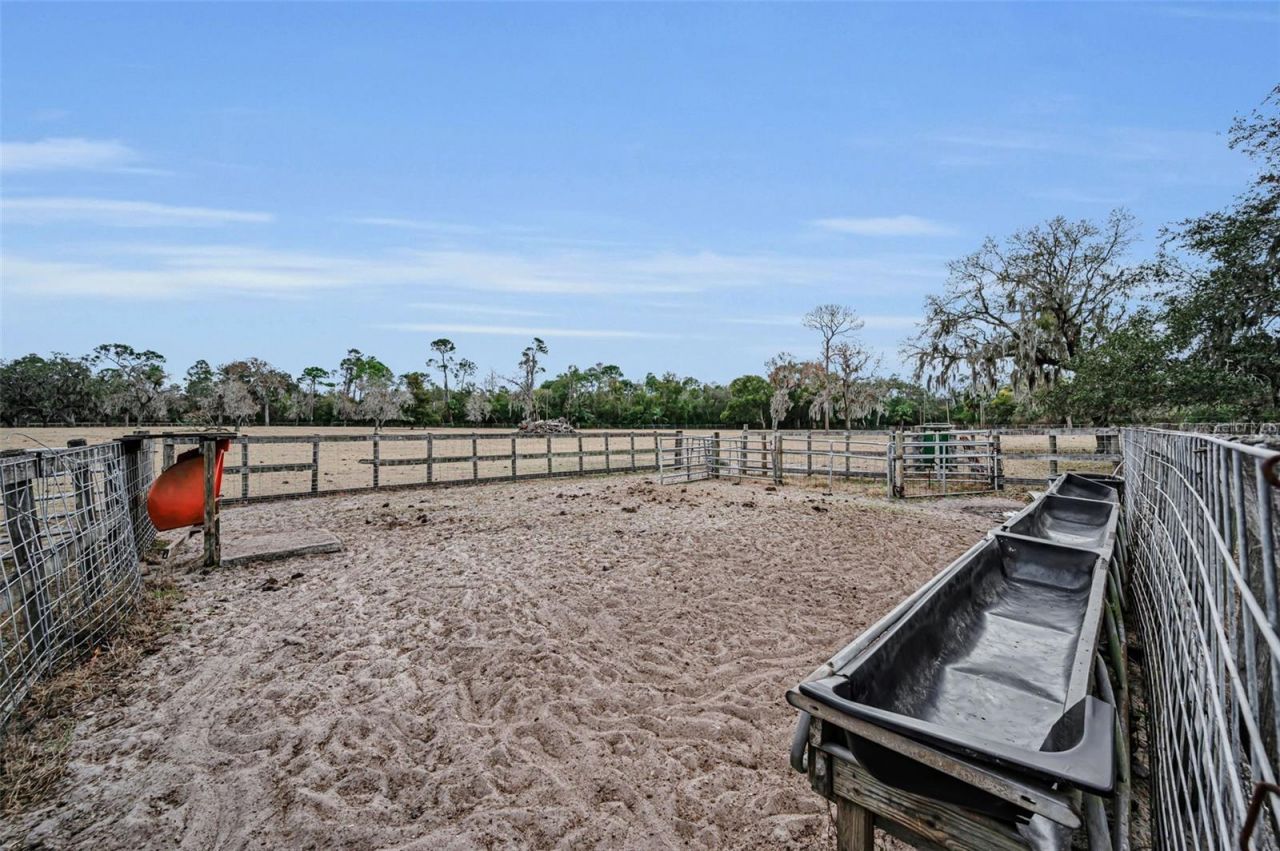 7230 Old Homestead Road, New Port Richey, FL 34654 Photo