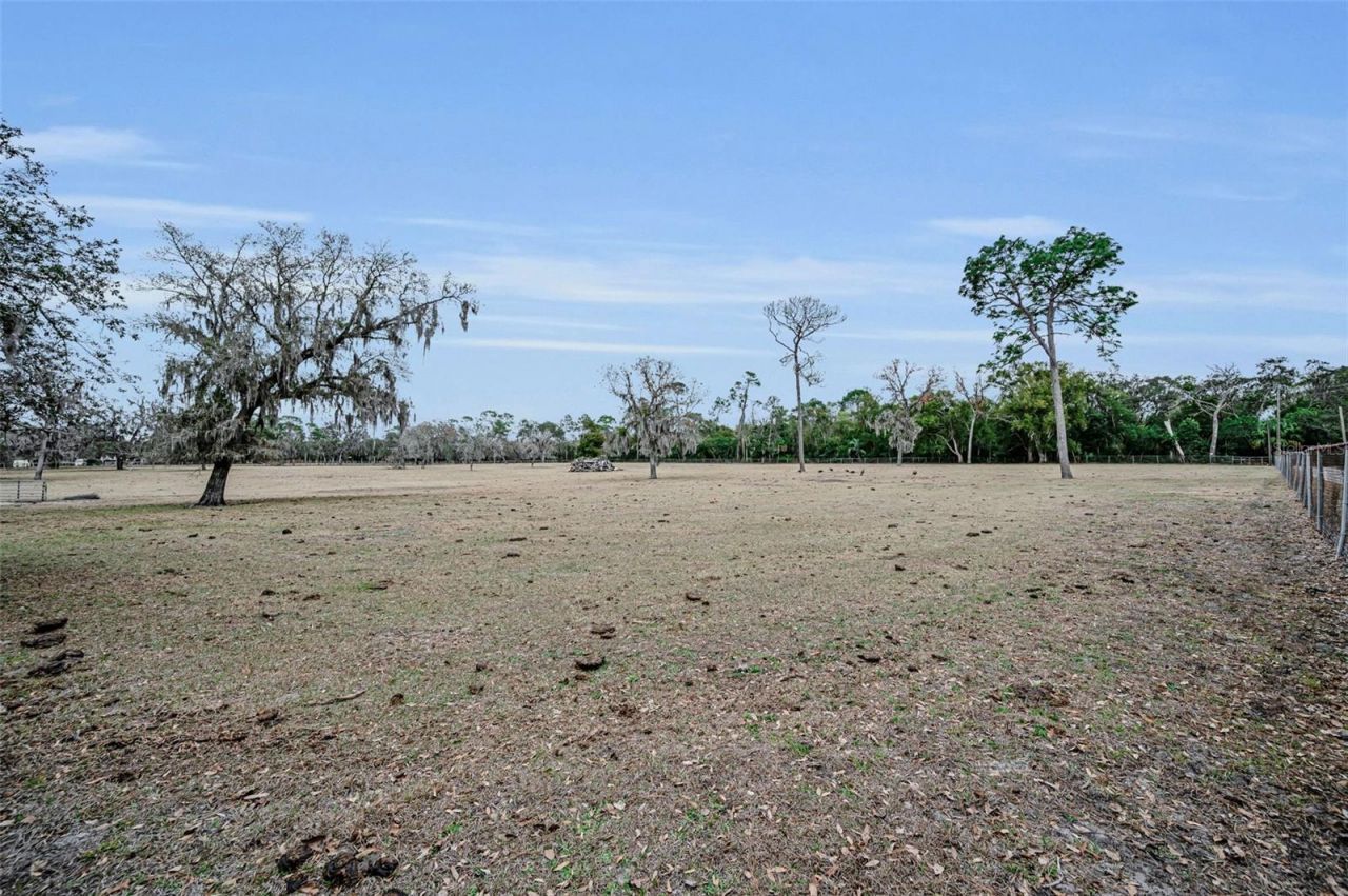 7230 Old Homestead Road, New Port Richey, FL 34654 Photo