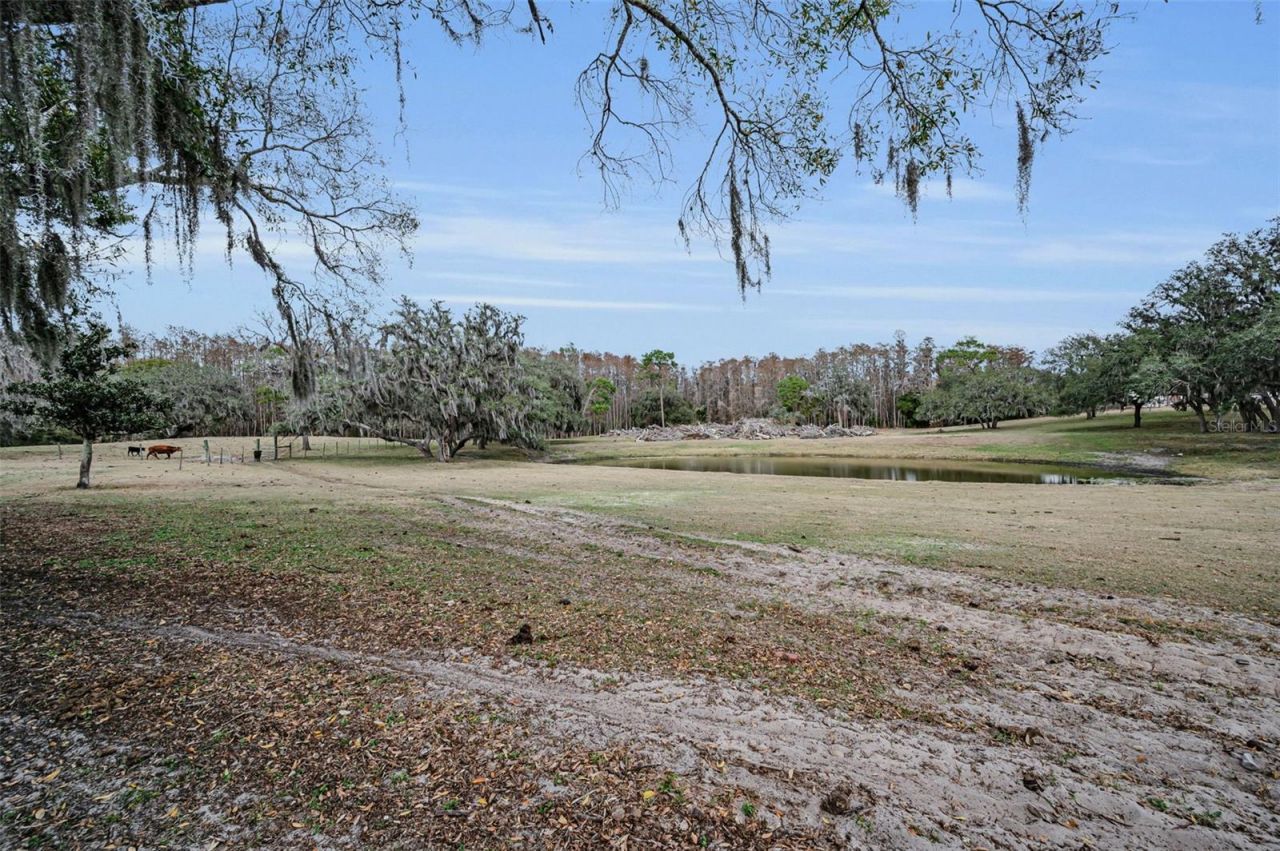 7230 Old Homestead Road, New Port Richey, FL 34654 Photo