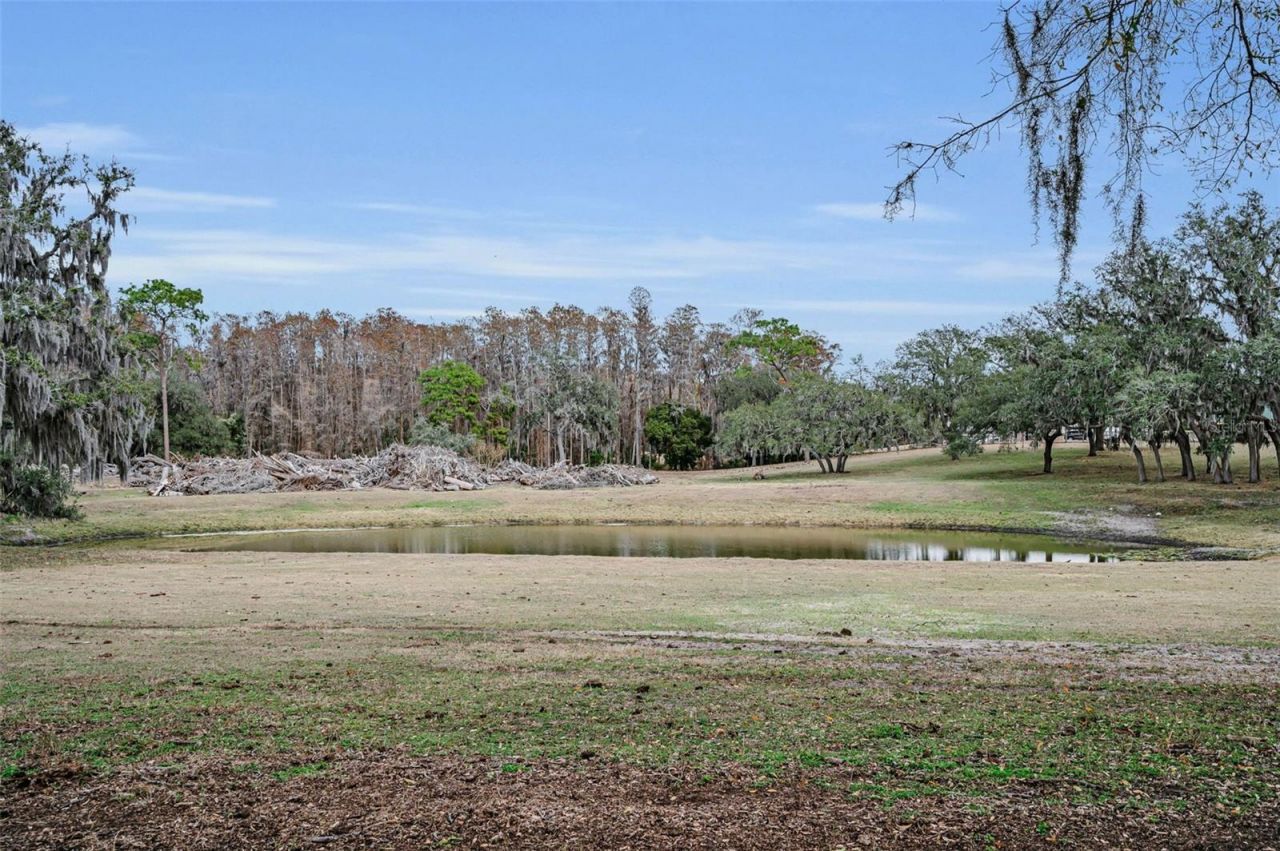 7230 Old Homestead Road, New Port Richey, FL 34654 Photo