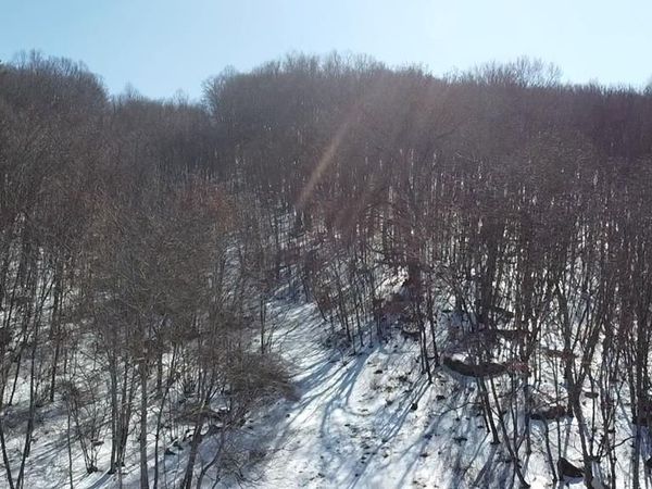 440 Kegley Trestle Road, Princeton, WV 24740