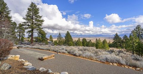 220 Sheridan Creek Court, Gardnerville, NV 89460 Photo