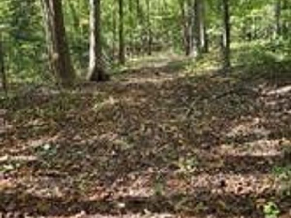 0 Courthouse Road, Dinwiddie, VA 23841