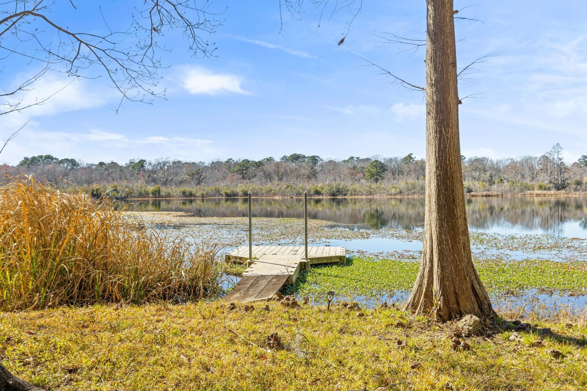 117 Goose Creek Drive Photo 40