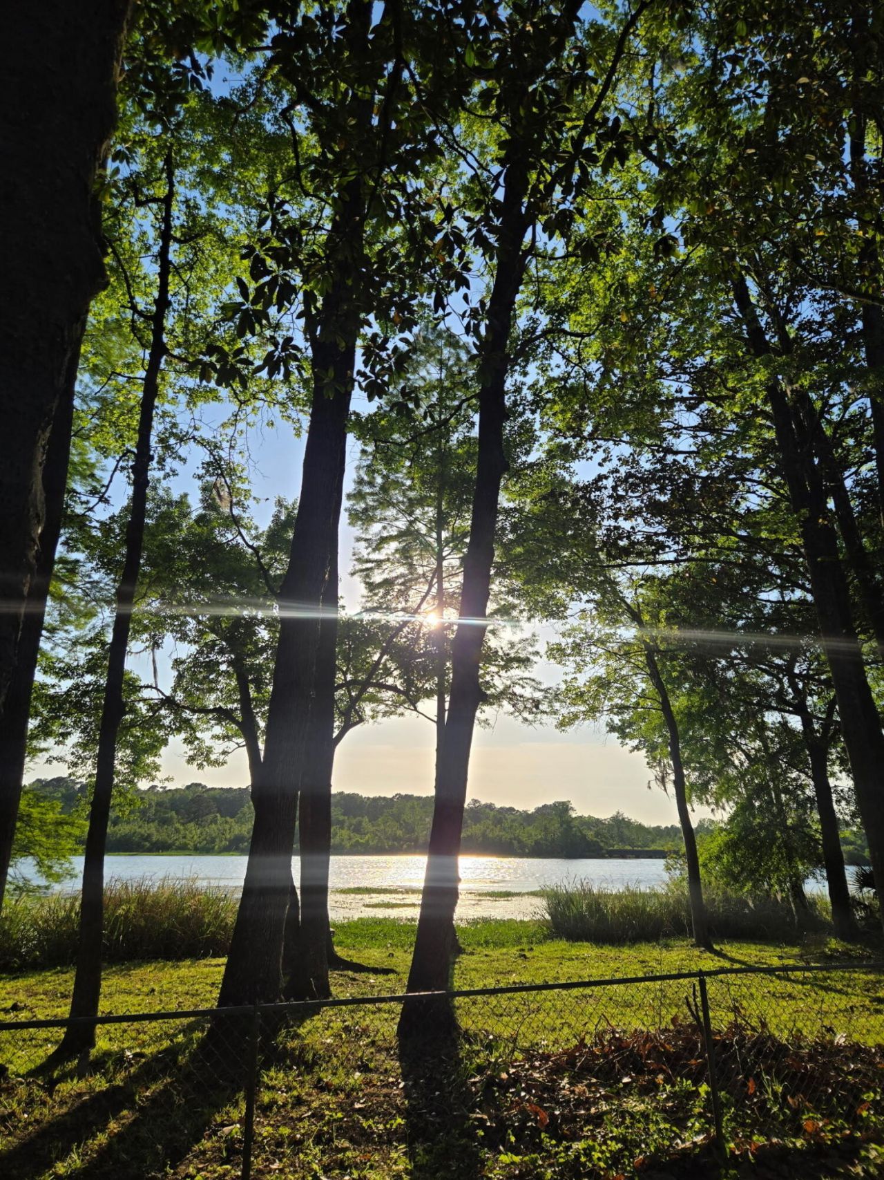 117 Goose Creek Drive Photo 46