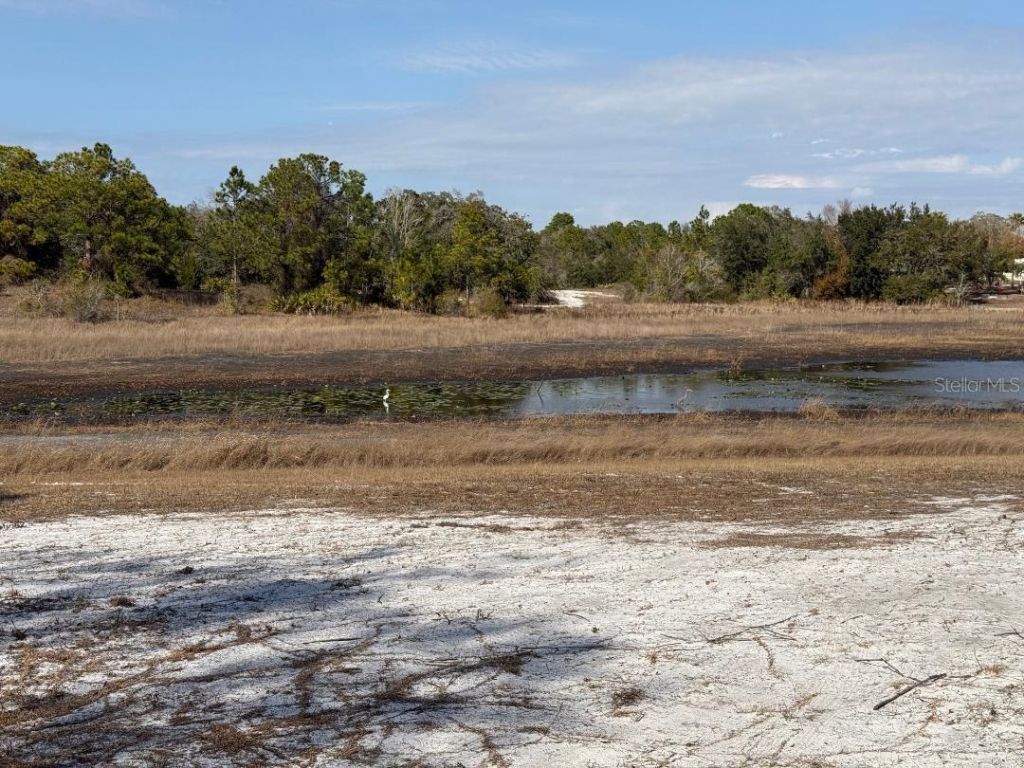 9265 Grizzly Bear Lane, Weeki Wachee, FL 34613 Photo