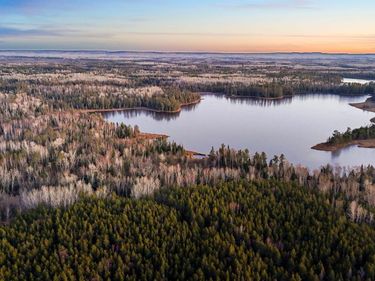 TBD Arthur Lake , Babbitt, MN 55706