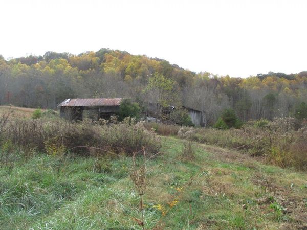 5194 Jones Cove Road, Cosby, TN 37722