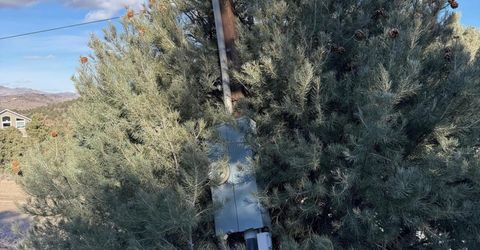 1810 Harte Road, Reno, NV 89521 Photo