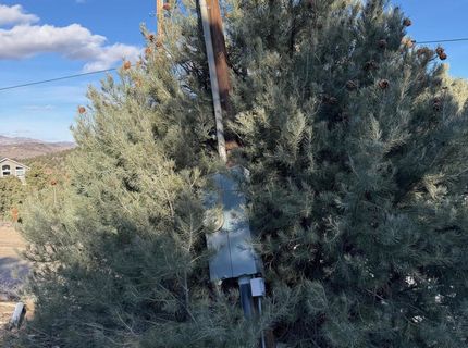 1810 Harte Road, Reno, NV 89521 Photo