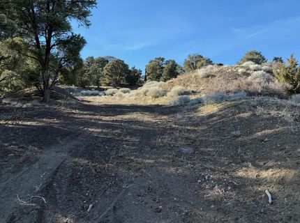 1810 Harte Road, Reno, NV 89521 Photo