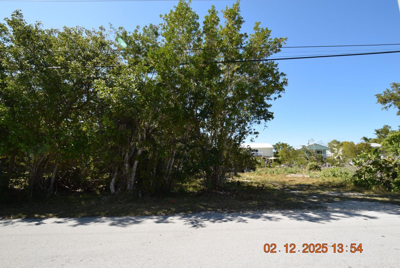 838 Loggerhead Lane, Sugarloaf, FL 33042 Photo