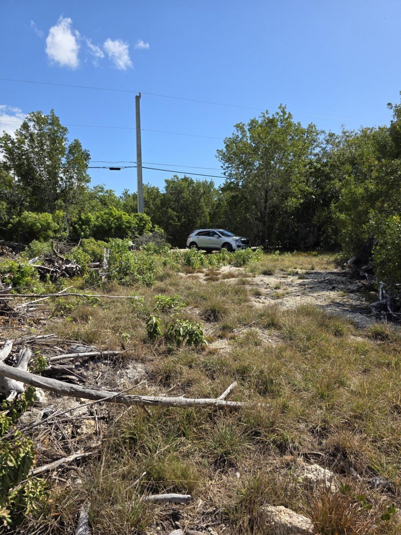 838 Loggerhead Lane, Sugarloaf, FL 33042 Photo