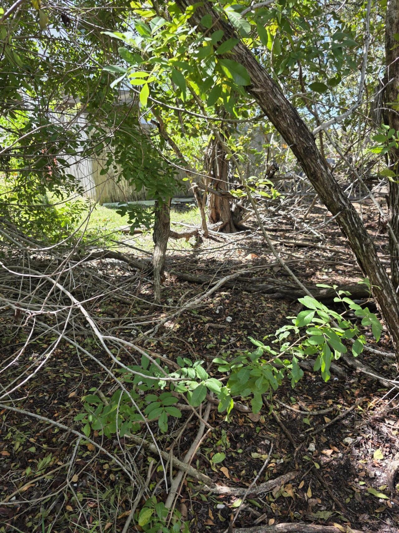 838 Loggerhead Lane, Sugarloaf, FL 33042 Photo