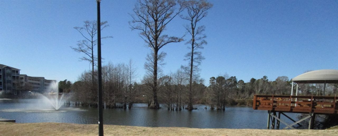 4526 N Planatation Harbour Dr. Photo 37