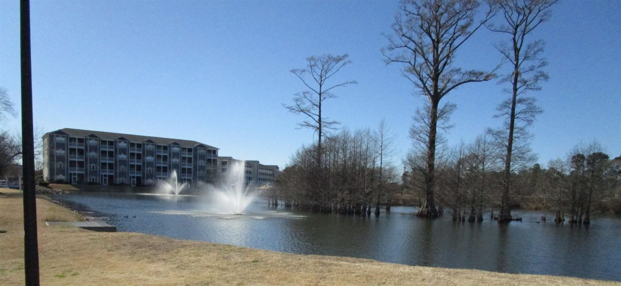 4526 N Planatation Harbour Dr. Photo 39