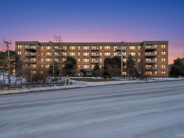 2 Birchwood Court, Unit 3D, Mineola, NY 11501