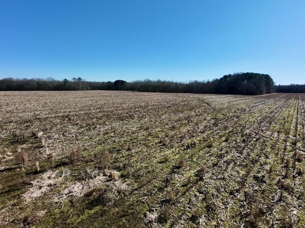 01 E Main Street, Carthage, MS 39051