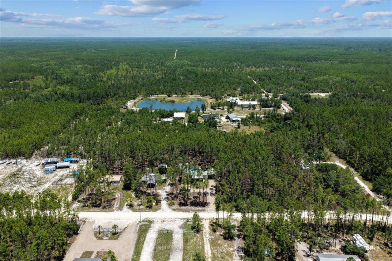 1421 Oak Pond Lane, Steinhatchee, FL 32359 Photo