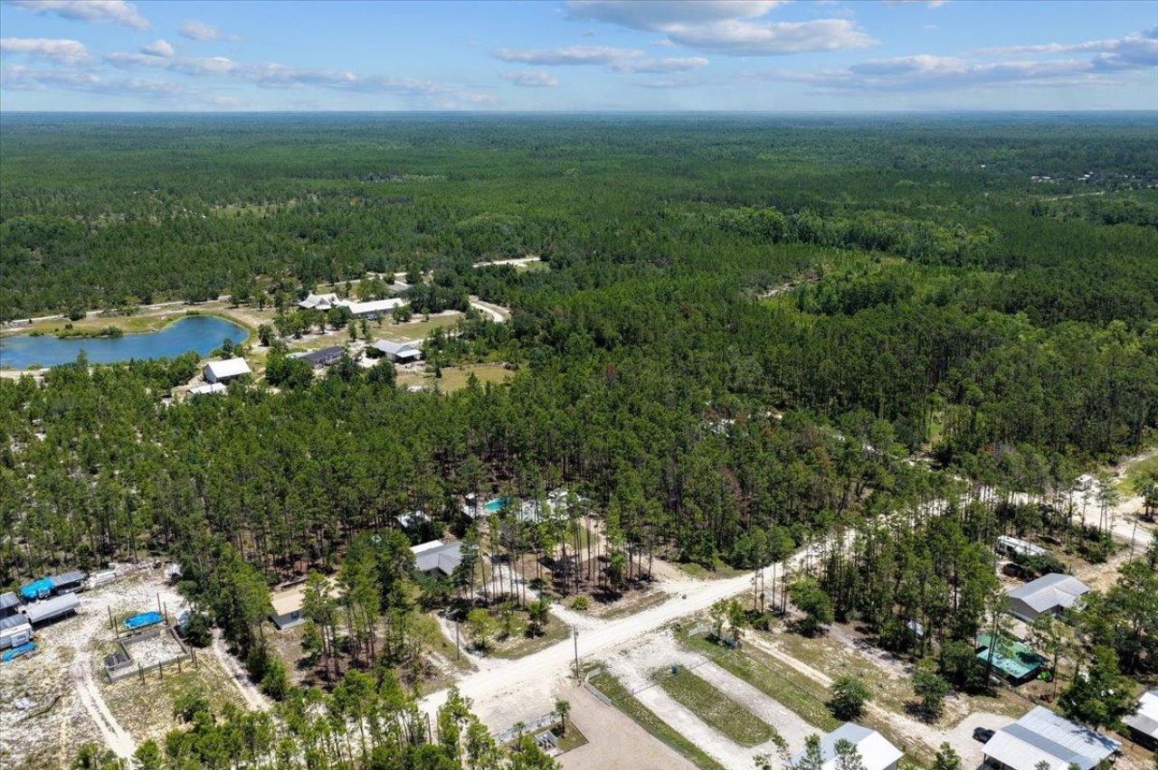 1421 Oak Pond Lane, Steinhatchee, FL 32359 Photo