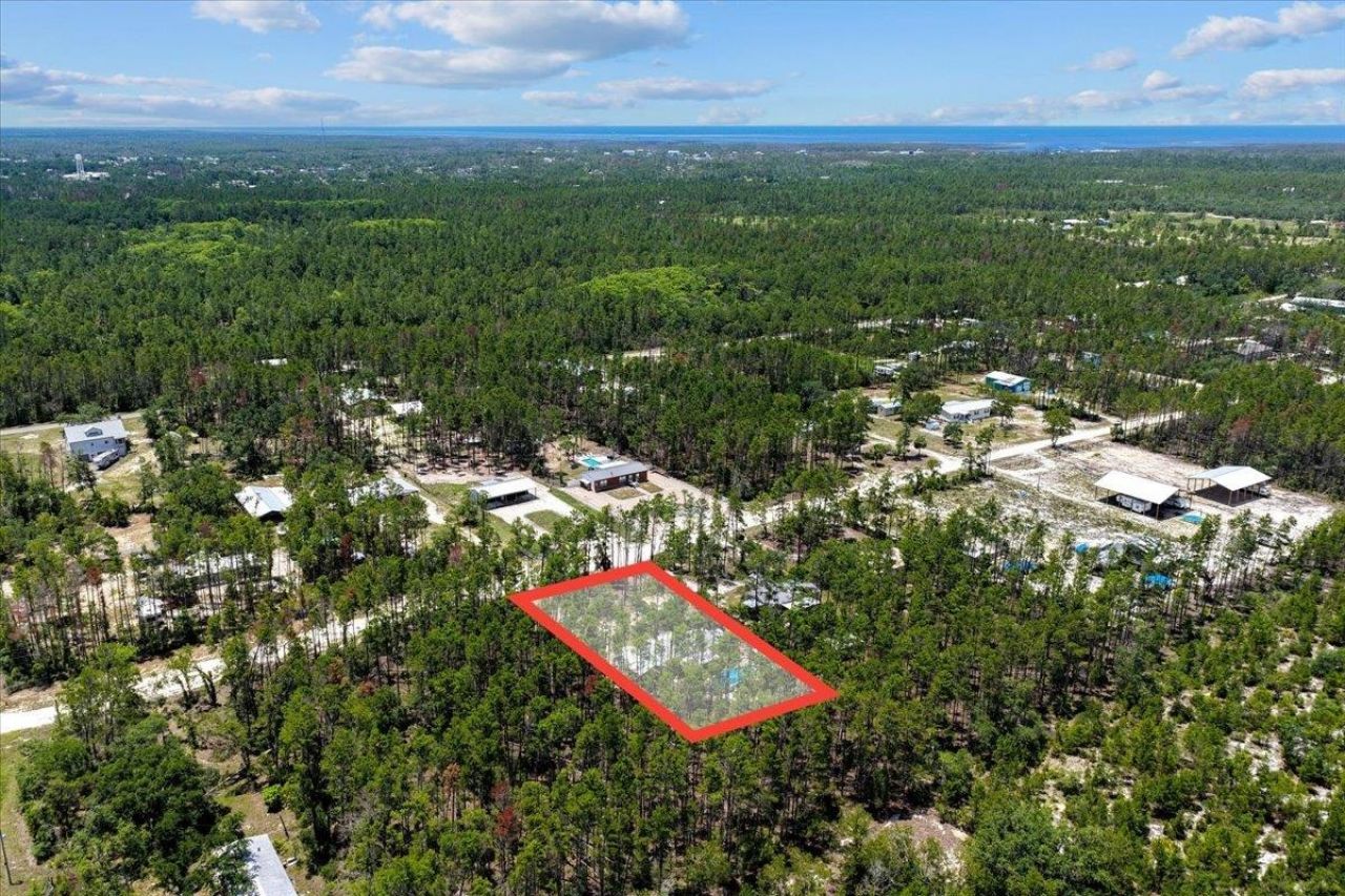 1421 Oak Pond Lane, Steinhatchee, FL 32359 Photo