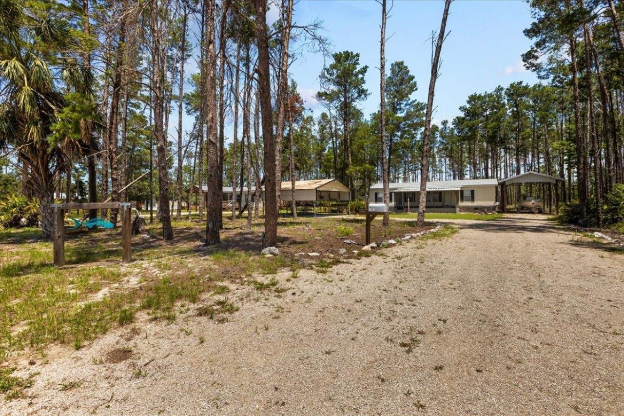 1421 Oak Pond Lane, Steinhatchee, FL 32359 Photo