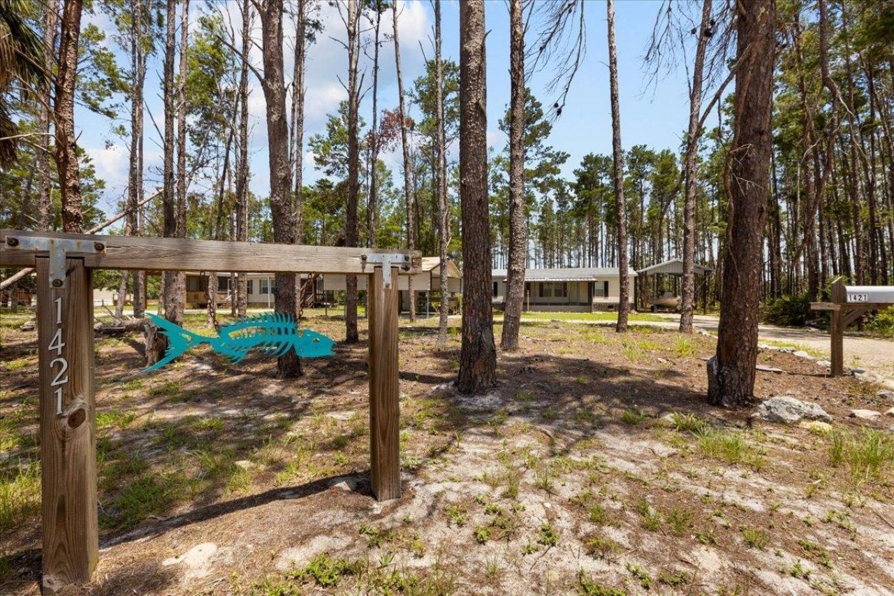 1421 Oak Pond Lane , Steinhatchee, FL 32359 Photo