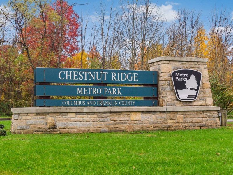 290 Jonathan Trail, Canal Winchester, OH 43110 Photo 22