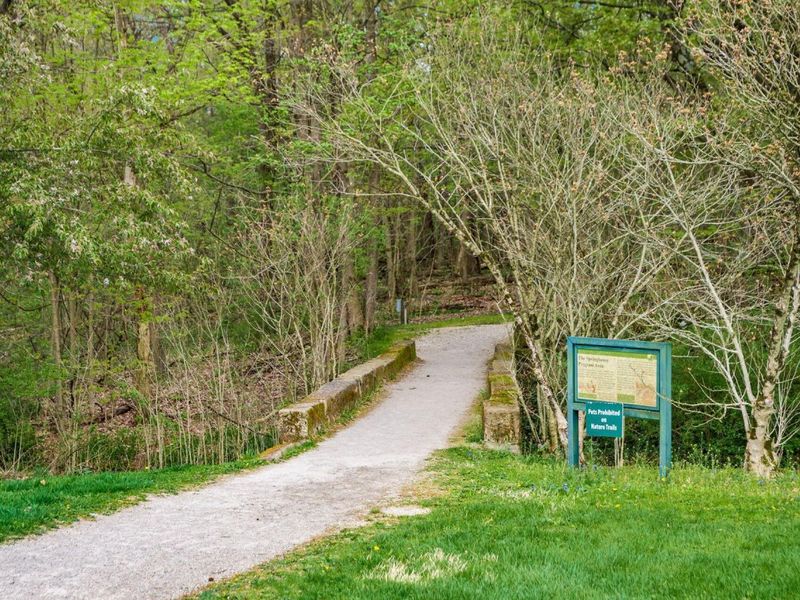 290 Jonathan Trail, Canal Winchester, OH 43110 Photo 23