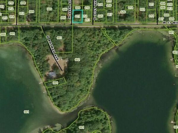 V/L W 11 Mile Road, Bitely, MI 49309