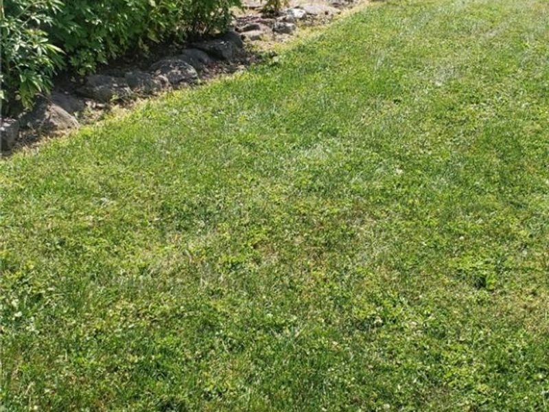 5288 Wheathill Road, East Palestine, OH 44413 Photo 40