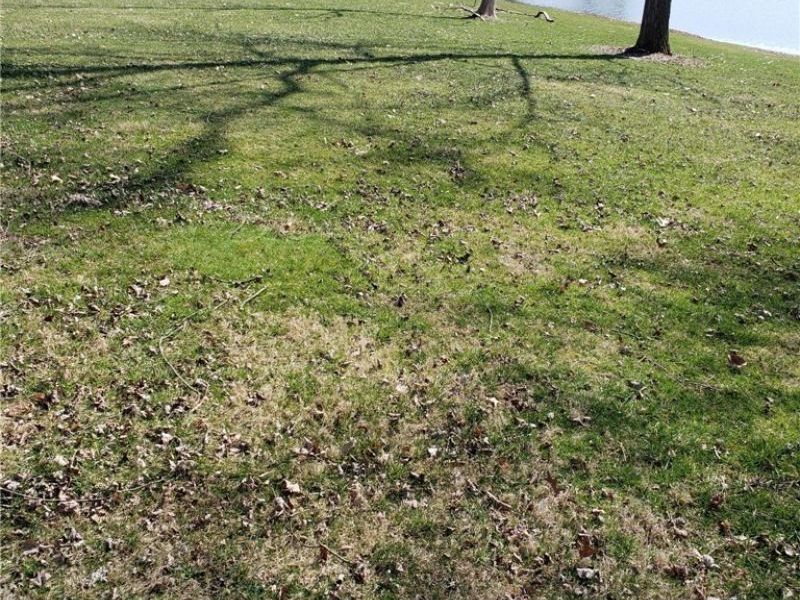 5288 Wheathill Road, East Palestine, OH 44413 Photo 41