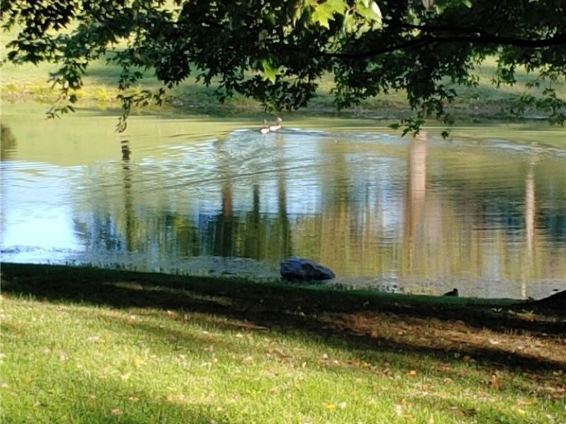 5288 Wheathill Road, East Palestine, OH 44413 Photo 43