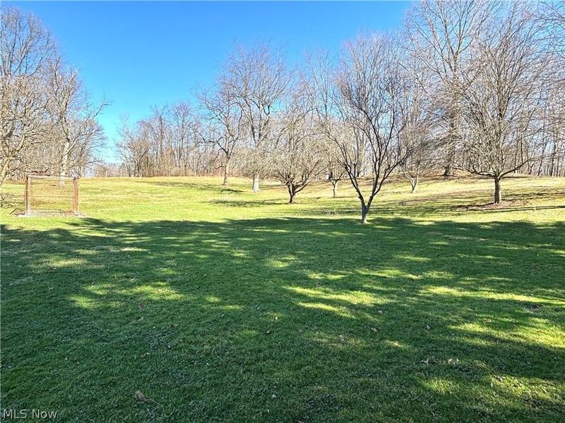 5288 Wheathill Road, East Palestine, OH 44413 Photo 45