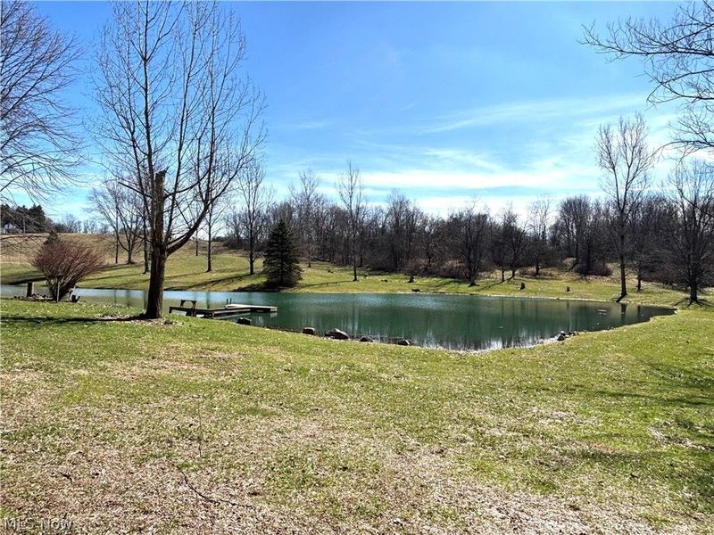 5288 Wheathill Road, East Palestine, OH 44413 Photo 46