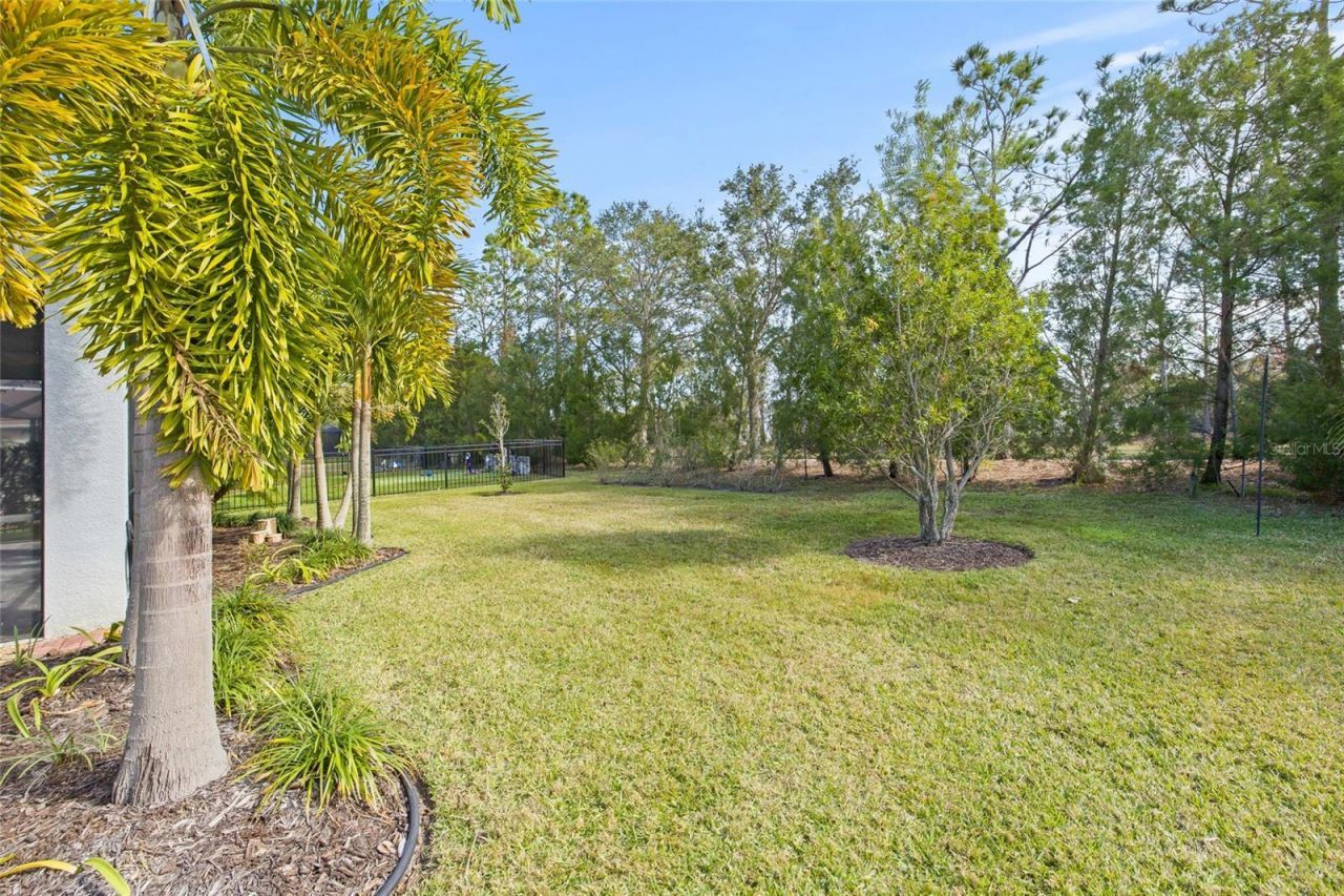 12556 Ryegrass Loop, Parrish, FL 34219 Photo