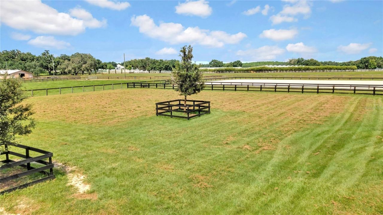 12000 S Highway 475, Ocala, FL 34480 Photo