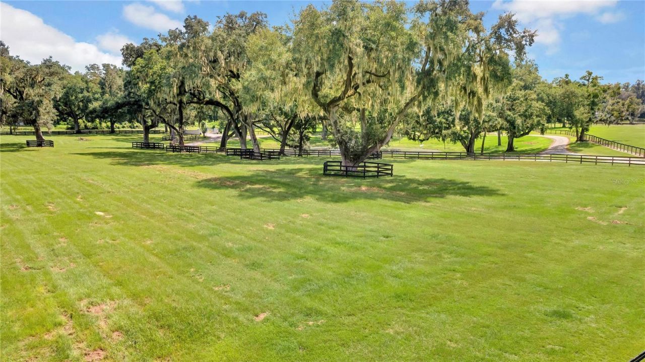 12000 S Highway 475, Ocala, FL 34480 Photo
