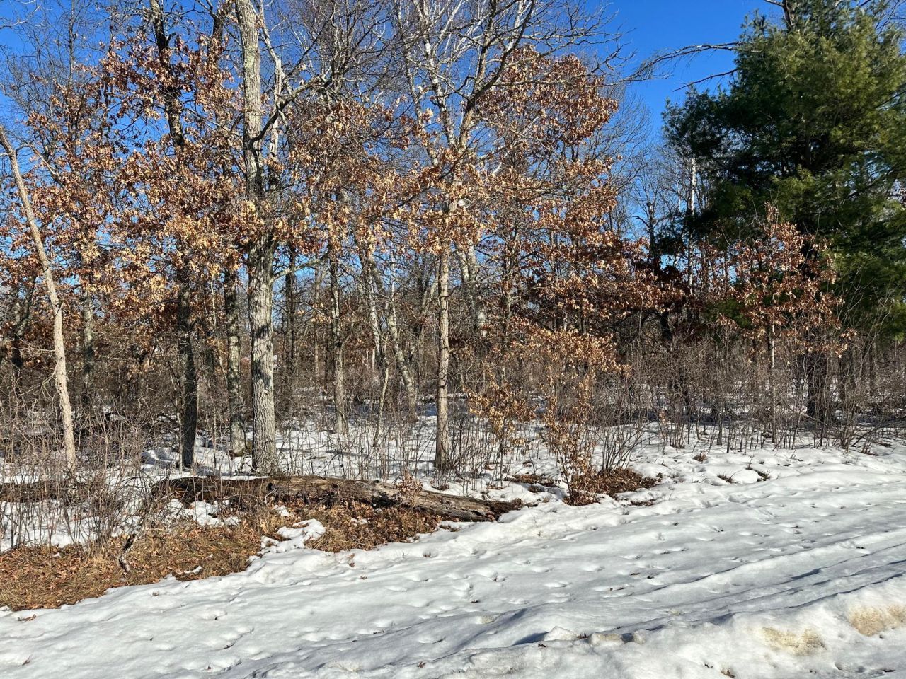 Tbd Sioux Drive, Breezy Point, MN 56472 Main Photo